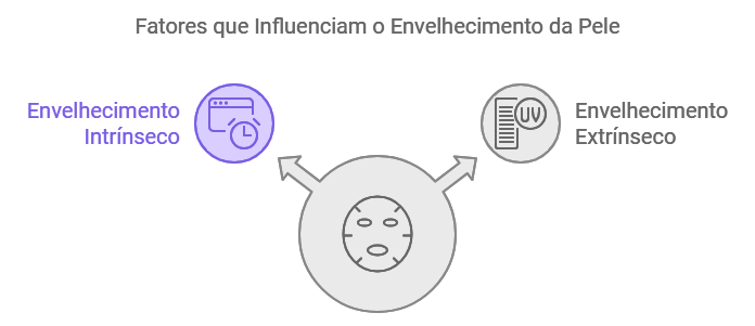 Fatores Intrínsecos e Extrínsecos no Envelhecimento