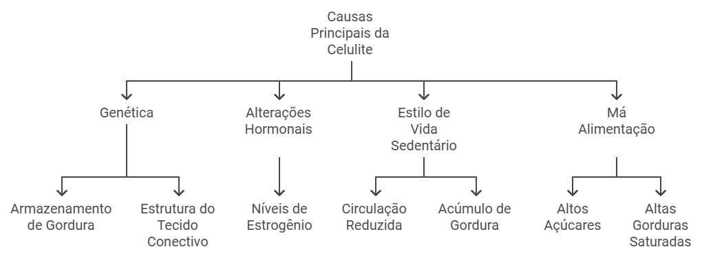 Causas Principais da Celulite