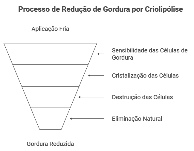 O Conceito de Criolipólise e Seu Mecanismo de Ação