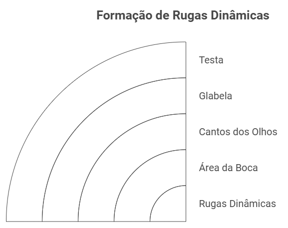 Principais Áreas de Ocorrência