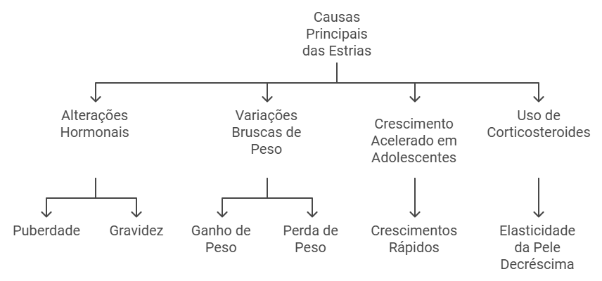 Principais Fatores Causadores das Estrias