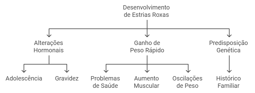 Principais Fatores Desencadeadores