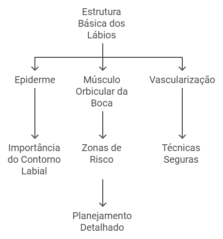 Anatomia dos Lábios: O Que Todo Profissional Deve Saber