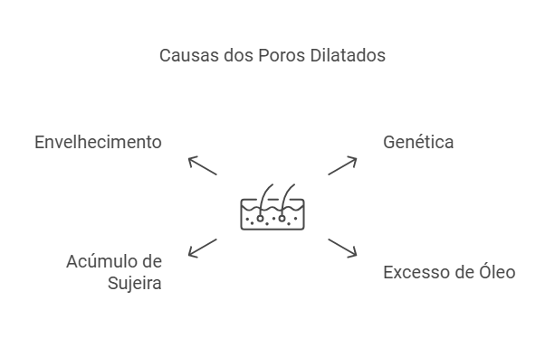 O Que São Poros Dilatados