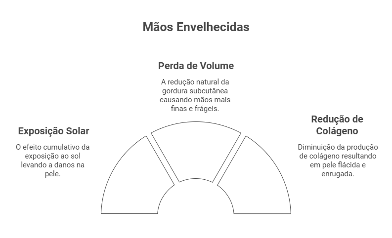 Fatores que contribuem para o envelhecimento